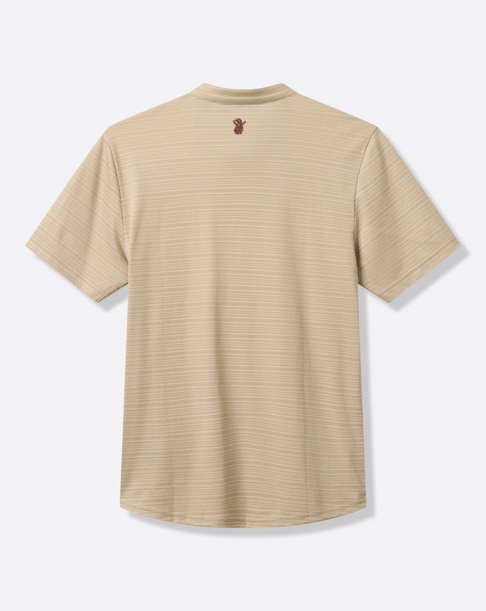 Big Hit Polo