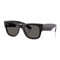 Mega Wayfarer - Black/Ultra Black