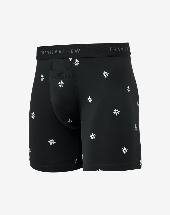 Rome Around Boxer
