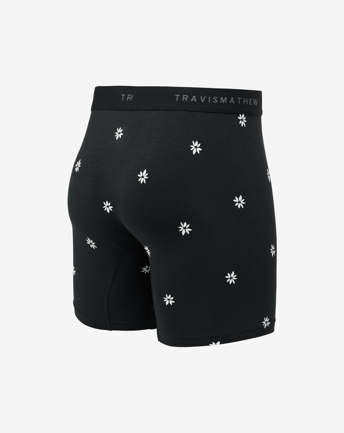 Rome Around Boxer