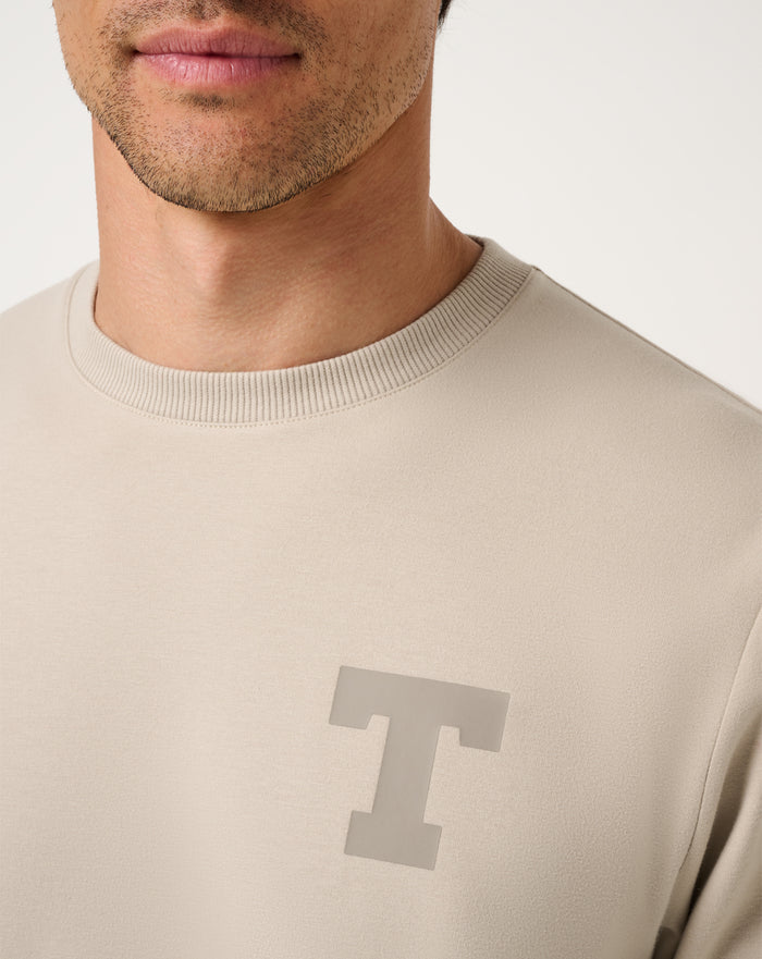 UT Texas Campus Hero Pullover